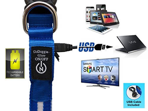 GoDoggie-GLOW - Reflective LED Dog Safety Collar - USB Rechargeable - Improved Dog Visibility & Safety - 7 Colours & 5 Sizes - Super-Bright LED's - Great Fun & Safe - Lifetime Guarantee - Blue M
