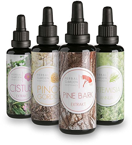 Cistus Extrakt – Kanarische Zistrose aus schonender Wildsammlung - 4