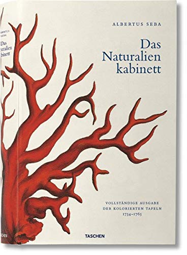 Preisvergleich Produktbild Albertus Seba. Cabinet of Natural Curiosities (Jumbo)