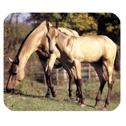 Preisvergleich Produktbild Mausunterlage, heiße spezielle kundengebundene PferdeMausauflagen Komfortable Gaming Mousepad