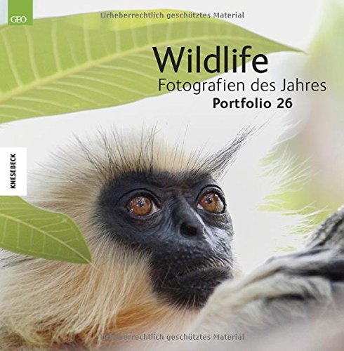 Download Wildlife Fotografien des Jahres - Portfolio 26 Download Wildlife Fotografien des Jahres - Portfolio 26