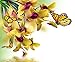 Produktbild Diamond Painting-Diamant Stickerei/Malerei Diamant Bild Orchideenduft 42x35cm