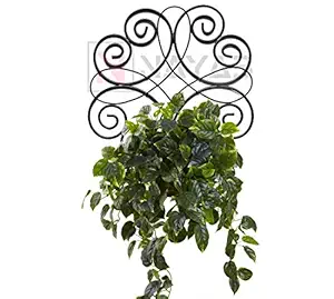 NAYAB Metal Scrolled Wall Mounted Plant Holder Rack, Black, 30CM