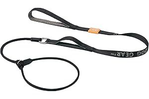 Howgo Dog Slip Lead Dog Leash, Training Leash, No-Pull Lightweight Slip Lead and Collar, Heavy Duty & Durable, Padded Handle, for All Breeds (Black, 5FT)