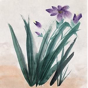 INKSTON Unvrarbeitetes Qualitativ Hochwertig Blumen Und Vögel Xuan-Papier 70 * 138 cm 25 Blättern