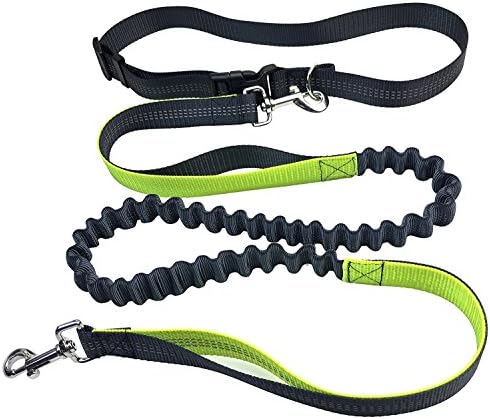 Hands Free Running Dog Leash ACMYLE Walking Jogging Hiking Reflective Nylon Pet Cat Leashes Adjustable Waist Belt (Fits up to 42" waist) Dog Rope for up to 110 lbs(50kg) Large Dog(Gray))