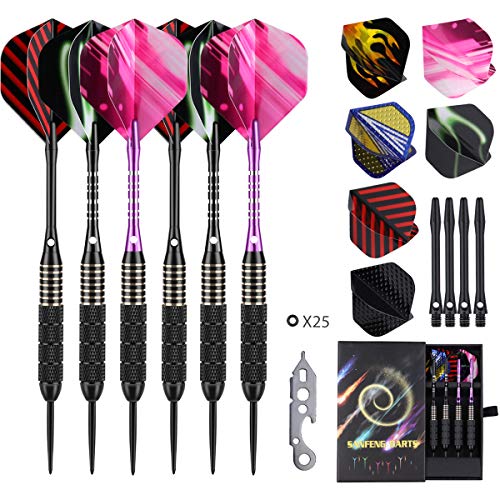 Dardos Punta de Acero 22 Gramos, Dardos Profesionales de Acero con 10 ejes de Aluminio 24 vuelos 25 Juntas tóricas Antideslizantes de goma 1 Herramienta de Dardos