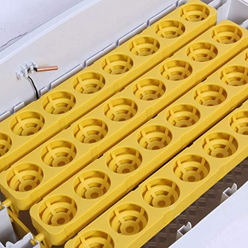 TM&W - New Fully Automatic Incubator 32 Eggs Mini Incubator Poultry Equipment Chicken Duck