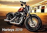 Harleys 2019 by 