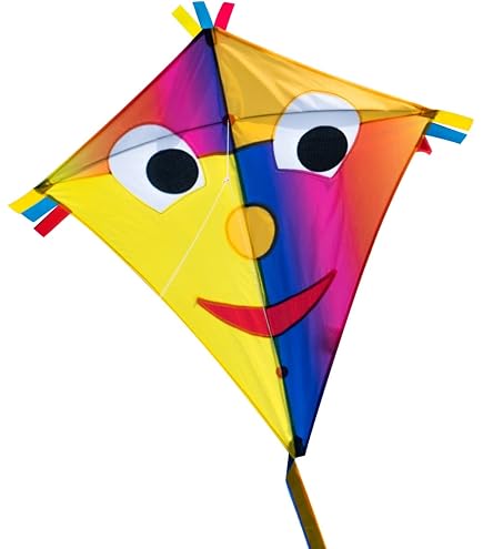 X KITES - Cerf-Volant Surdimensionné en Nylon