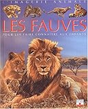 Imagerie animale : Les fauves