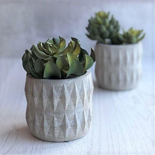 Gisela Graham Artificial Blue Star Succulent in Grey Geo Stone Pot Scandi Home