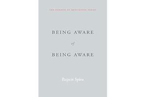Being Aware of Being Aware: The Essence of Meditation, Volume 1