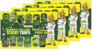 Chipku  Yellow Sticky Insect Trap for Garden & Farm for Smaller Insects glueTrap/Insect Catcher/Sticky Pads for Insects, Whiteflies, Aphids, Leaf Minor, Thriphs (Pack of 40 Traps)