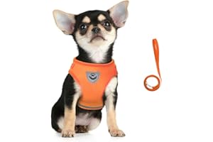 FEimaX Imbracatura e Guinzagli Set per Cani, Pettorina Imbottita a Morbida per Cuccioli e Gatti, Imbracature di Traspiranti Regolabili Riflettenti per Camminare, Corsa, Allenamento