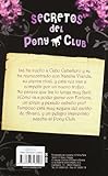 Image de Fortuna Y El Trofeo Dorado (Secretos Del Pony Club)