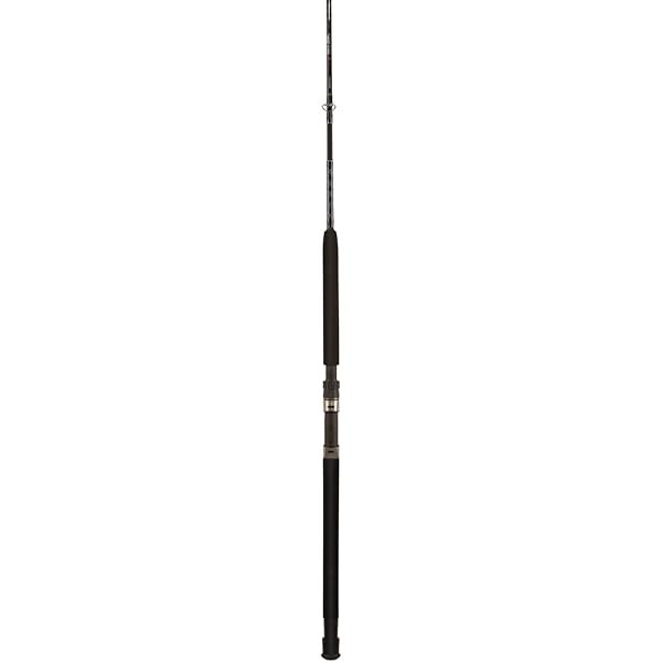 ugly stik elite boat rod