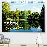  Essen - Die grüne Oase(Premium, hochwertiger DIN A2 Wandkalender 2020, Kunstdruck in Hochglanz): Essen, die Metropole im Herzen des Ruhrgebietes zeigt ... (Monatskalender, 14 Seiten ) (CALVENDO Orte)