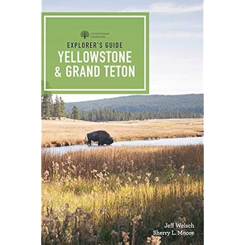 Amazon.co.uk yellowstone