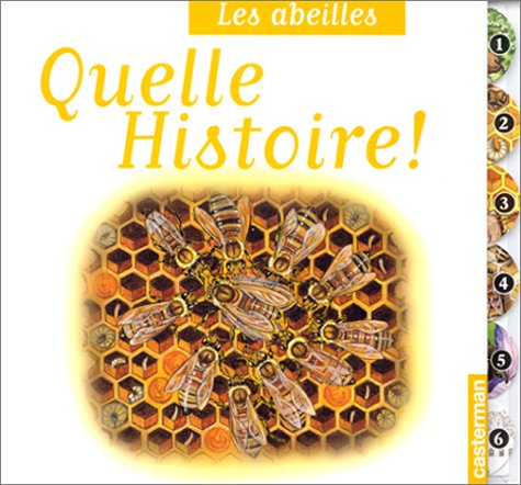 couverture de : Les abeilles