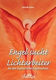 Engel sucht Lichtarbeiter: Aus dem Tagebuch eines Engelmediums by