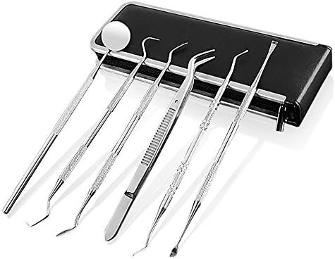 Stainless Steel Dental Hygiene Kit - 6 Pcs Essential Home Use Premium Calculus and Plaque Remover Set to Deep Cleaning Teeth to Maintain Oral Care
