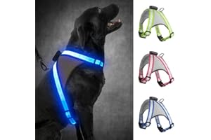 Visinite LED Dog harness, USB Rechargeable Light Up Dog Harness Vest, 2 Illuminate Modes Glow in The Dark Dog Harness, Adjustable Lighted Dog Harness Light for Night Walking Safety