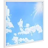 Long Life Lamp Company 40w Sky LED Ceiling Light 600 X Cloud Scene Flush Mount With Transformer And Frame 21127