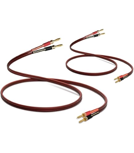 SUPRA XL ANNORUM BI-WIRE COMBICON 2m Bi SUPRA XL ANNORUM BI-WIRE COMBICON 2m Bi