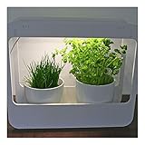 Farbe: weiß LED Designer Mini Gewächshaus weiß