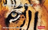 Image de Geheimnisvolle Natur Premiumkalender 2015: 365 faszinierende Fotografien