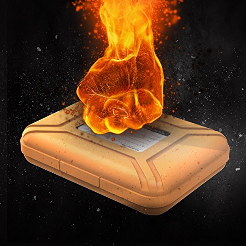ORICO Festplattentasche Schutztasche Schutzbox (3.5″, Orange) – Aufbewahrungstasche für 3,5 Zoll Festplatten Western Digital WD Seagate Toshiba Samsung Intenso - 2