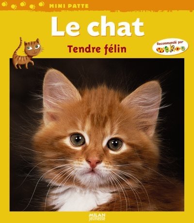 Le  chat : tendre félin