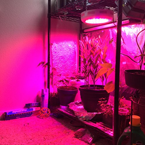 Roleadro 270W Pflanzenlampe UFO LED Grow Lampe Vollspektrum mit UV Licht per Gewächshaus Pflanzen Wachstum und Blüte - 6
