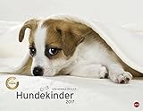 Image de Hundekinder Posterkalender - Kalender 2017
