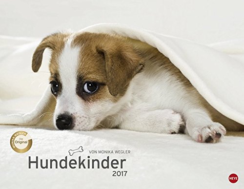 Hundekinder Posterkalender - Kalender 2017