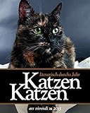 Katzen, Katzen - literarisch durchs Jahr 2013 by 