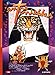 Entre Tinieblas [DVD]