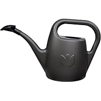 Arrosoir De Jardin Plastia EVA 2 Litres - Vert - Arrosoir Intérieur Et Extérieur Pour Plantes