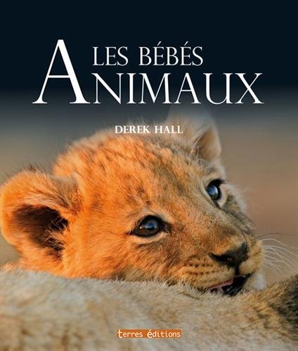 Download Les Bébés animaux