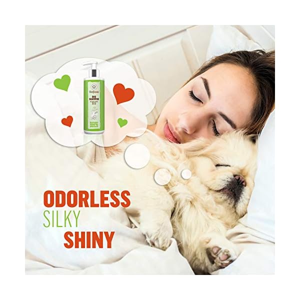 ProGroom Oatmeal Dog Shampoo Vegan, Organic, Natural Puppy Shampoo