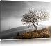 Produktbild Einsamer Baum auf Berg schwarz/weiß Format: 120x80 auf Leinwand, XXL riesige Bilder fertig gerahmt mit Keilrahmen, Kunstdruck auf Wandbild mit Rahmen, günstiger als Gemälde oder Ölbild, kein Poster oder Plakat