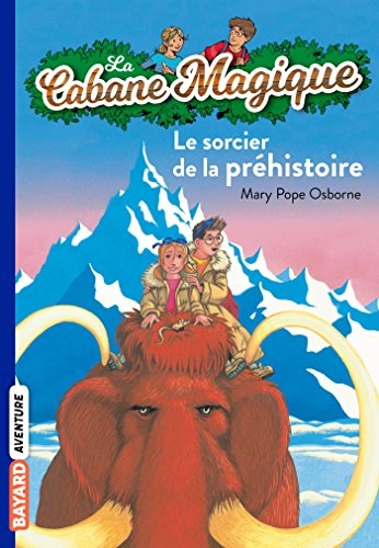 couverture de : Le sorcier de la pr&eacute;histoire