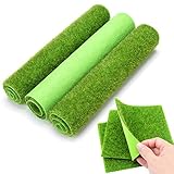 Feine Verarbeitung ist von wesentlicher Bedeutung, Mikro Landschaft DIY Landschaftsbau