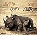 Wildlife 2007 by