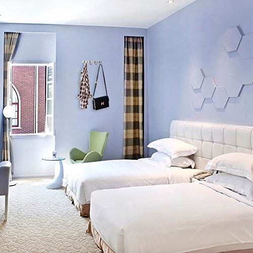 HOMEIDEAS Mantel und Kleiderhaken Rack/Schiene mit 4 Flared Tri Haken, Wandmontage Entryway Lagerung für Kleider,Handtuch,Hüte,Schals 28 cm Länge,gebürstet SUS304 Edelstahl - 7