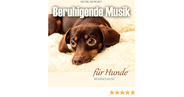 Beruhigende Musik Fur Hunde Relaxing Music Von Electric Air Project Bei Amazon Music Amazon De