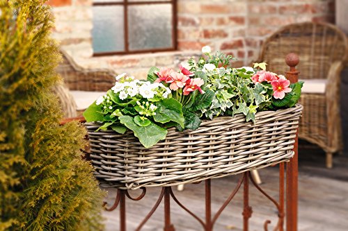 Dezent grau gekalkter Balkon-Pflanzkorb aus Rattan - 5