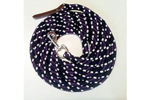 Pferdeseile_DE Bodenleine/Arbeitsseil schwarz-BlackBerry-Natur 4,00 mtr mit Karabiner und Lederklatsche