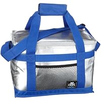 Alfi Be Cool - Bolsa térmica (10 L), color plateado/azul